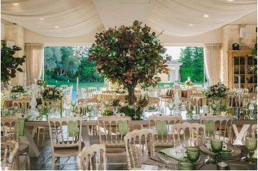Wedding Reception